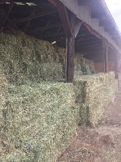 Large Squares in Storage
