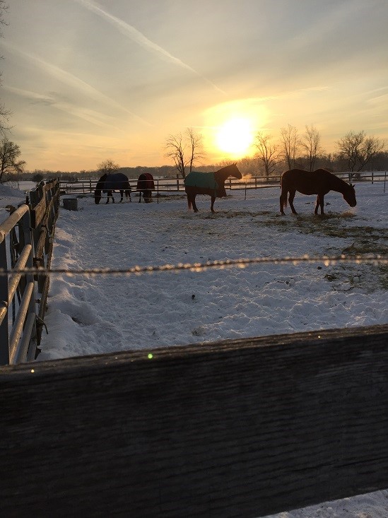 Sunrise in winter