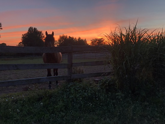 Sunset