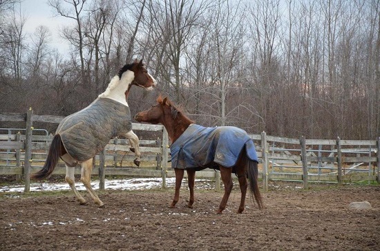 A little playtime