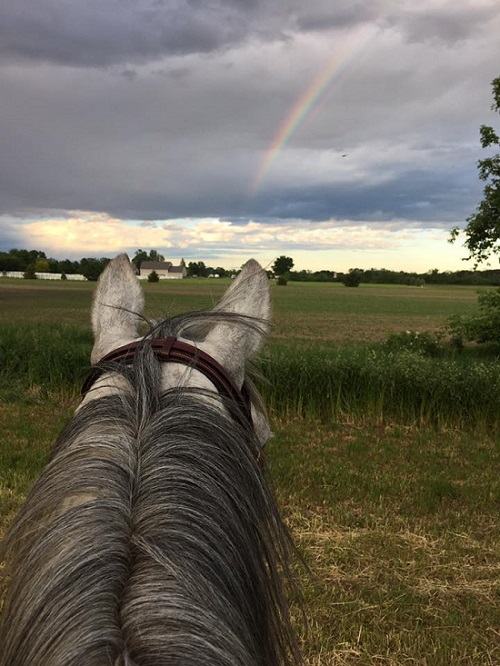 The rainbow ride