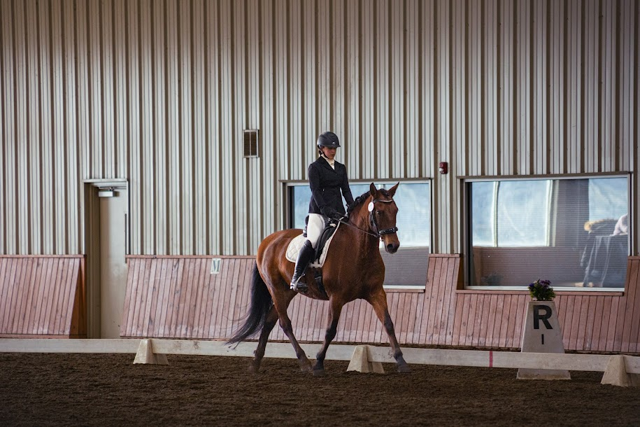 Danielle riding Dressage